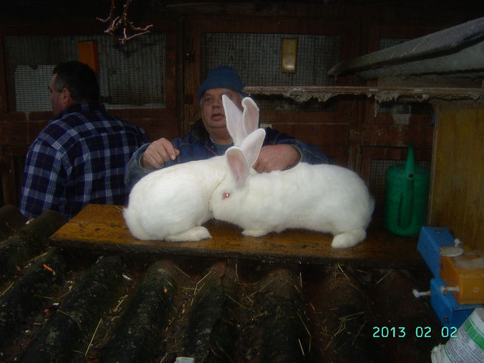 Austria-Germania 02.02.13. 024