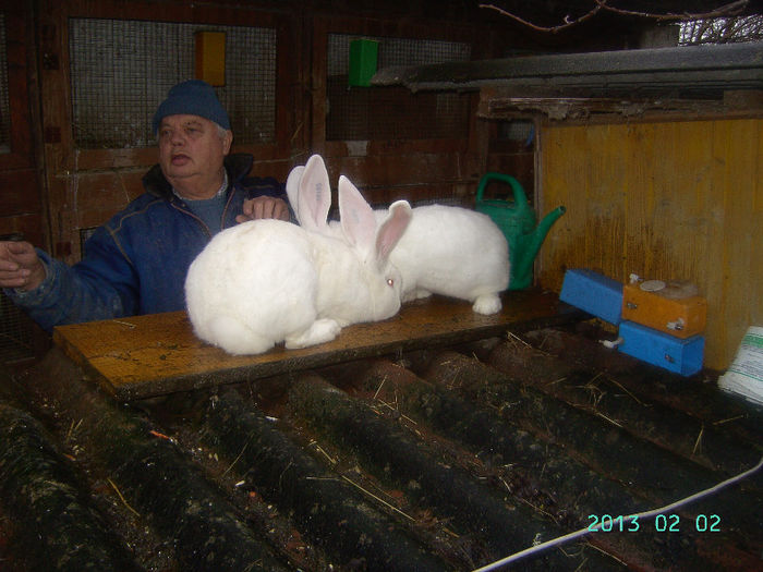 Austria-Germania 02.02.13. 025