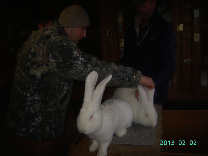 Austria-Germania 02.02.13. 040