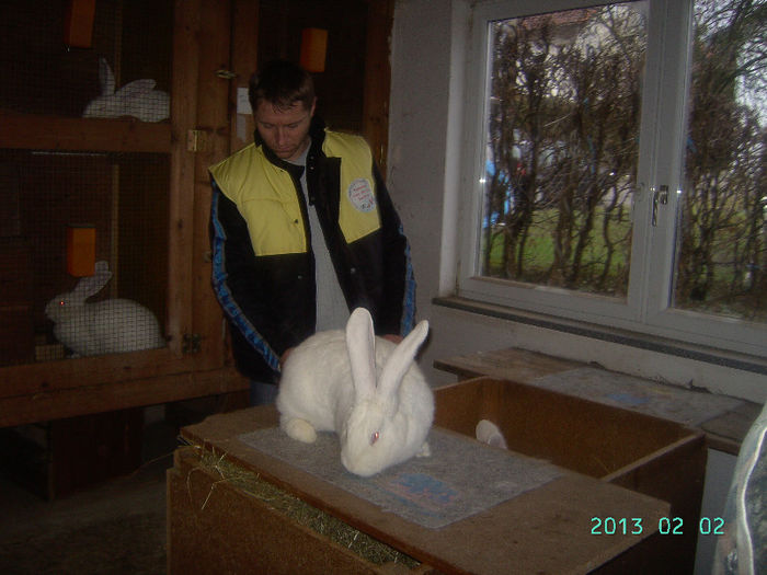 Austria-Germania 02.02.13. 048