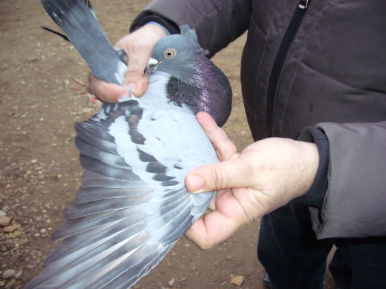 P1050005