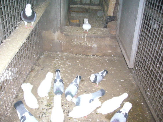 P1050038