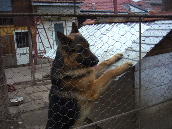 P1050059