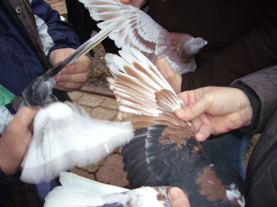 P1050101