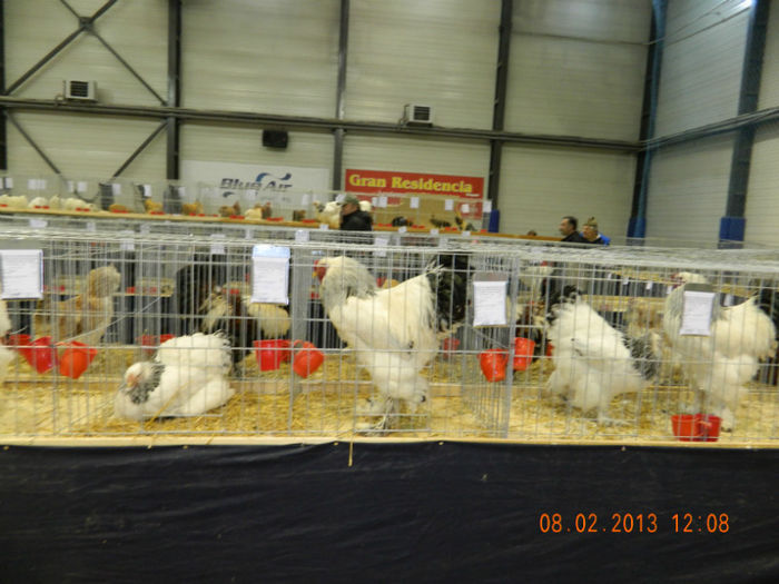 DSCN0642 - expo otopeni 2013