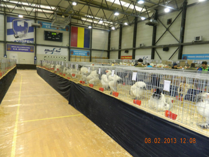 DSCN0646 - expo otopeni 2013