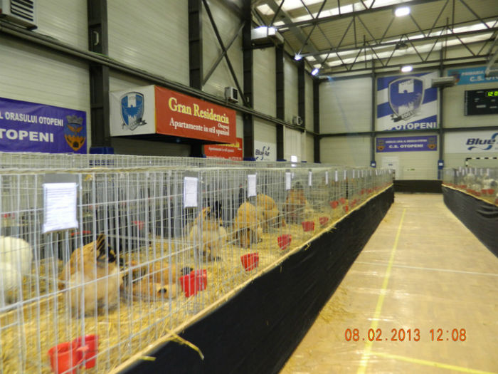 DSCN0649 - expo otopeni 2013
