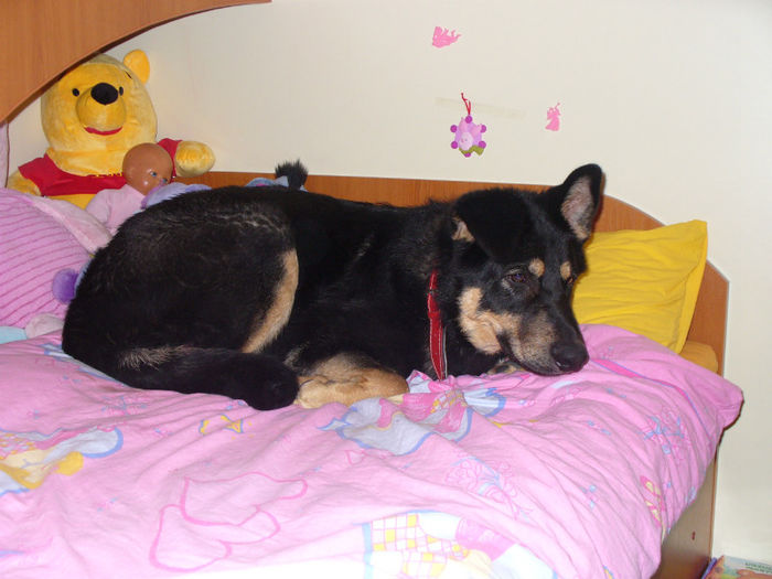 vreau si eu asa patut!