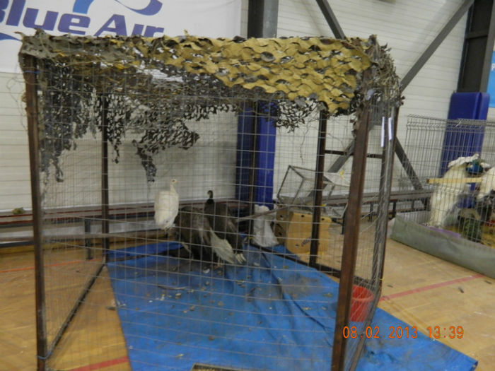 DSCN0851 - expo otopeni 2013
