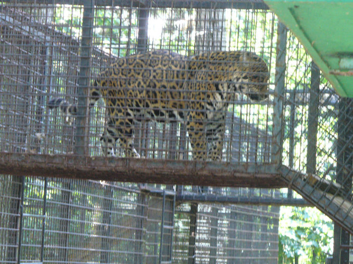 P1130748 - in vizita la zoo