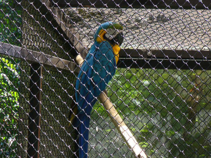 P1130781 - in vizita la zoo
