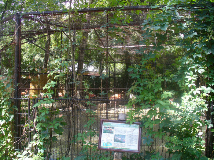 P1130895 - in vizita la zoo