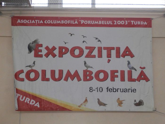 P2090103 - O- Expozitie Turda 2013