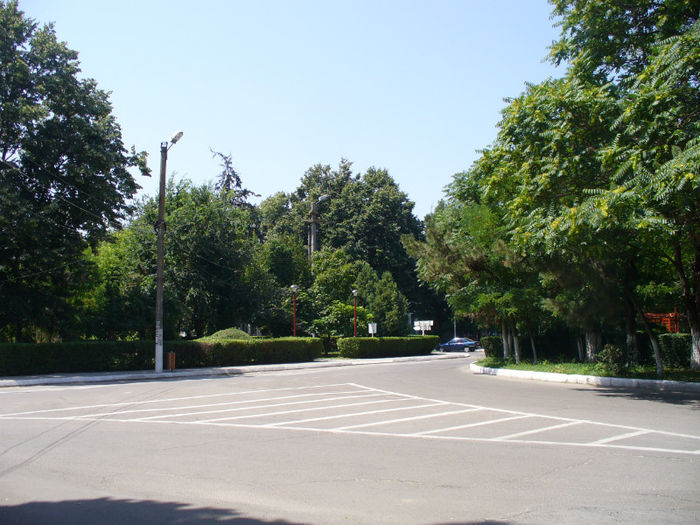 P1150948