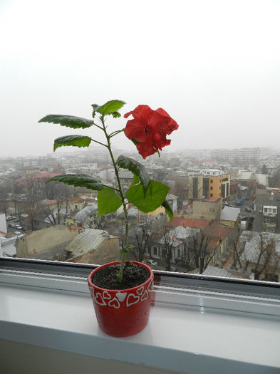 DSCN8953