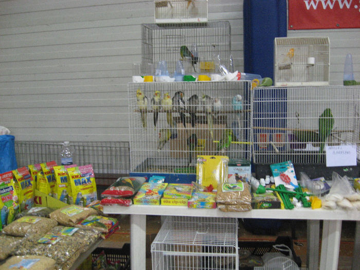 Picture 2003 - Expozitia de gaini de rasa Otopeni- Februarie 2013
