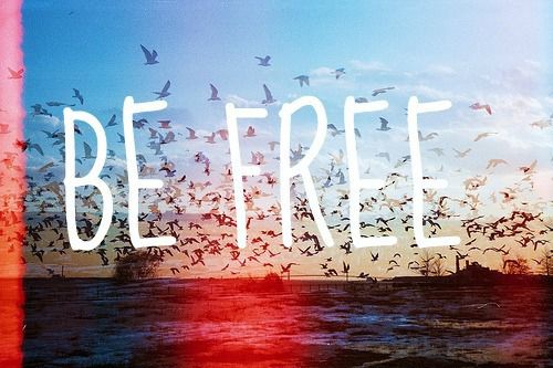tumblr_mgsj8vyElq1recp7vo1_500_large