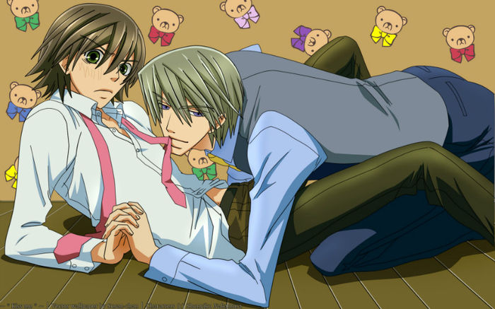 27 - Junjou Romantica