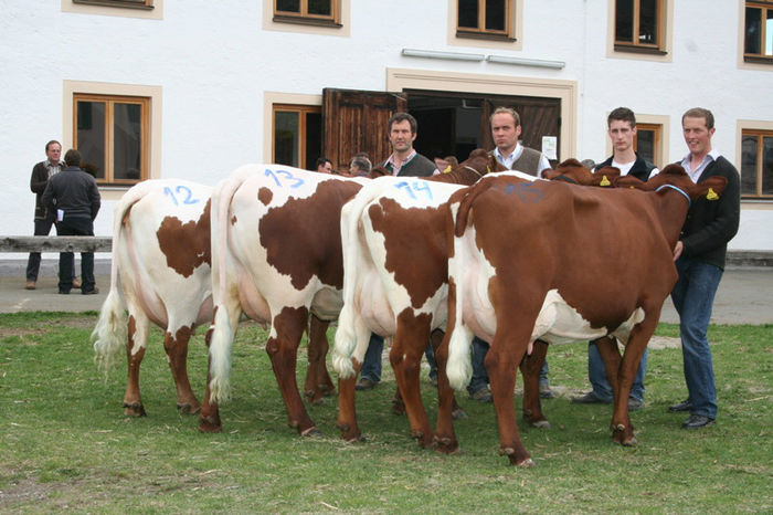  - VACI PIZGAU