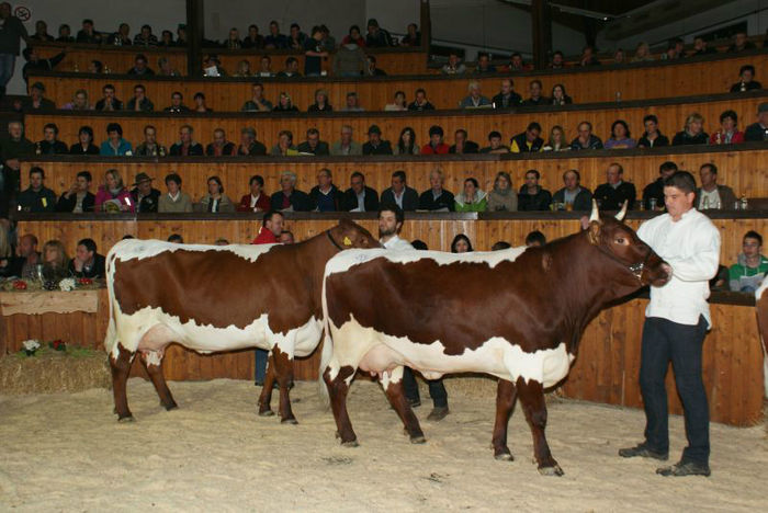  - VACI PIZGAU