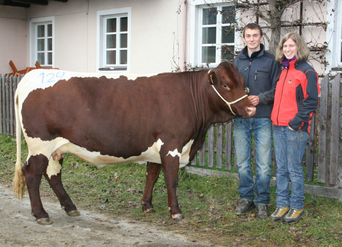  - VACI PIZGAU