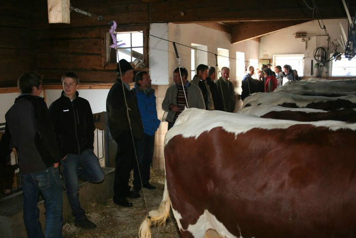  - VACI PIZGAU