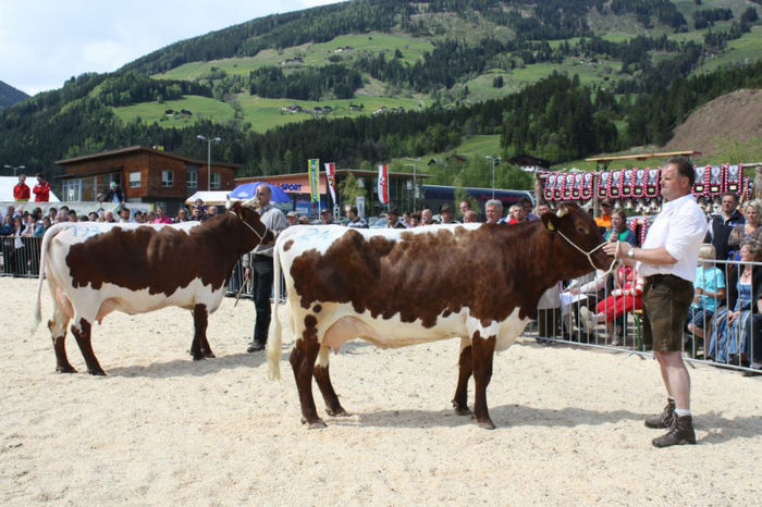 - VACI PIZGAU
