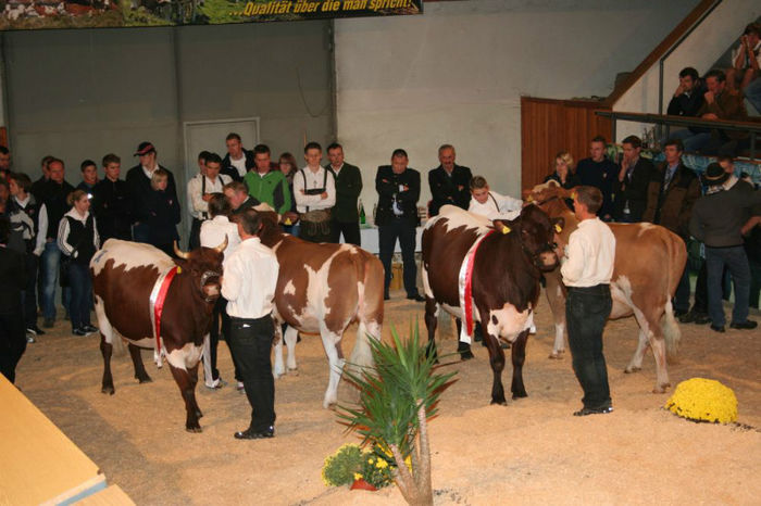  - VACI PIZGAU