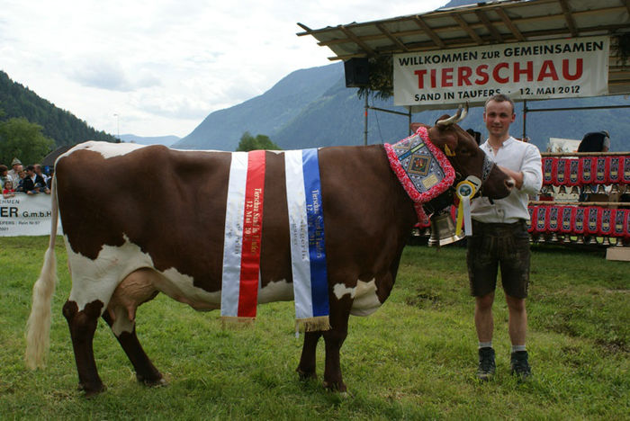  - VACI PIZGAU