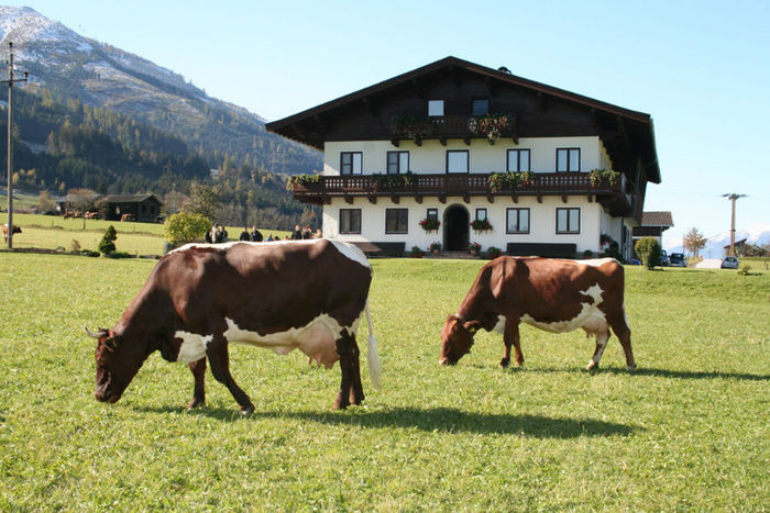  - VACI PIZGAU