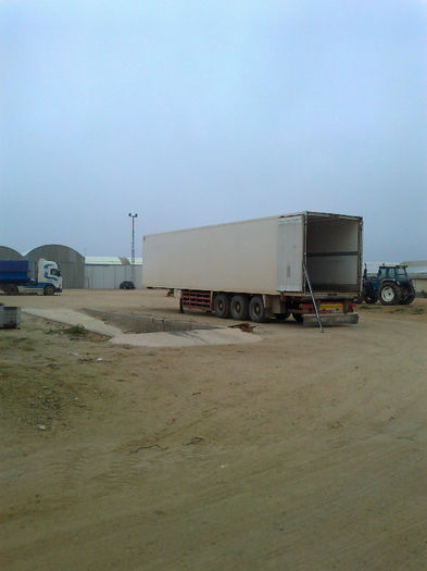 Foto0148; Un camion din acesta culegem in fiecare zi de Luni pana Vineri(26 paleti)
