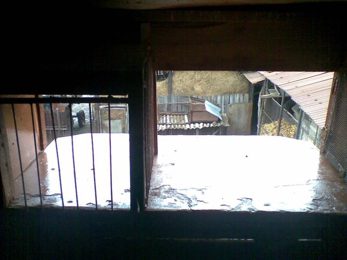 04022013(008) - Voiajori