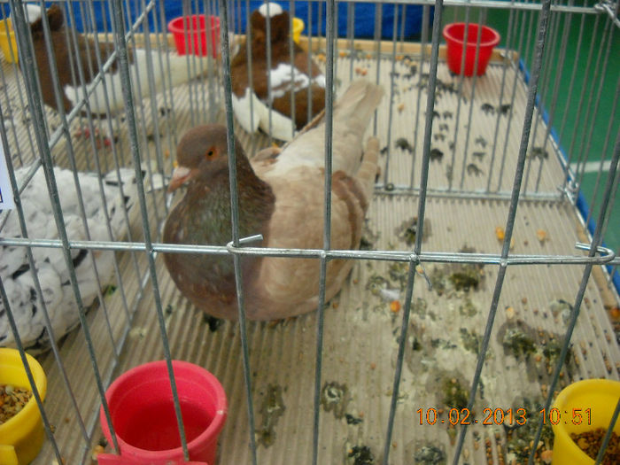 My pictures 030
