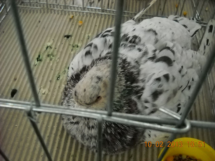 My pictures 031