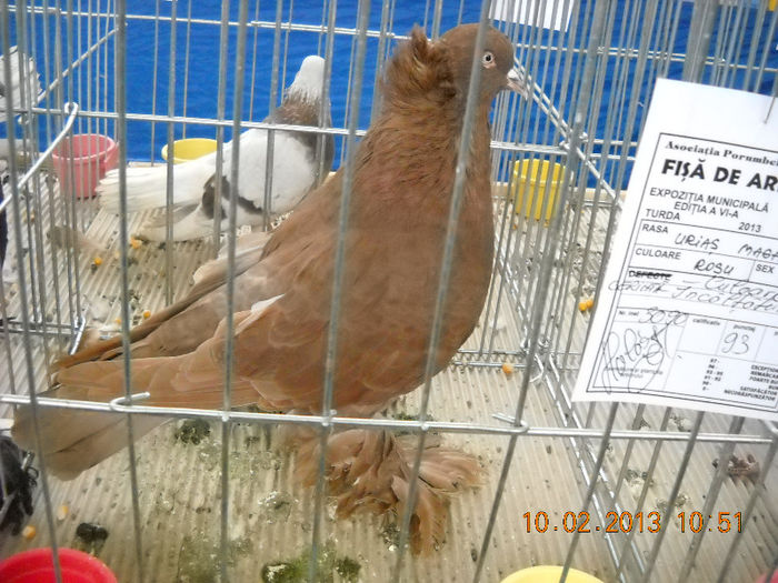 My pictures 033