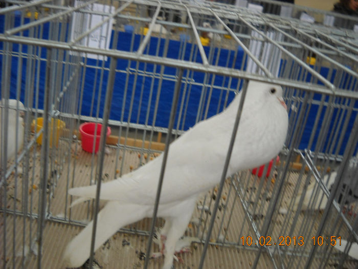 My pictures 039