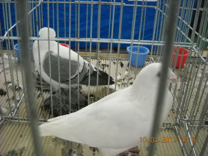 My pictures 043