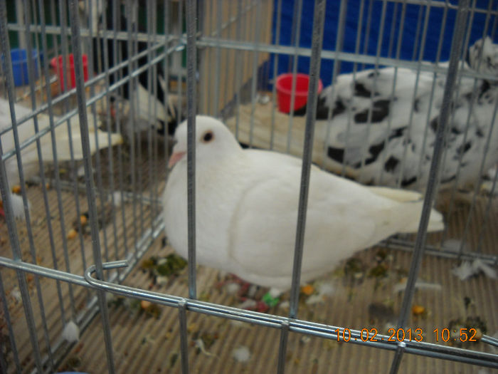 My pictures 045