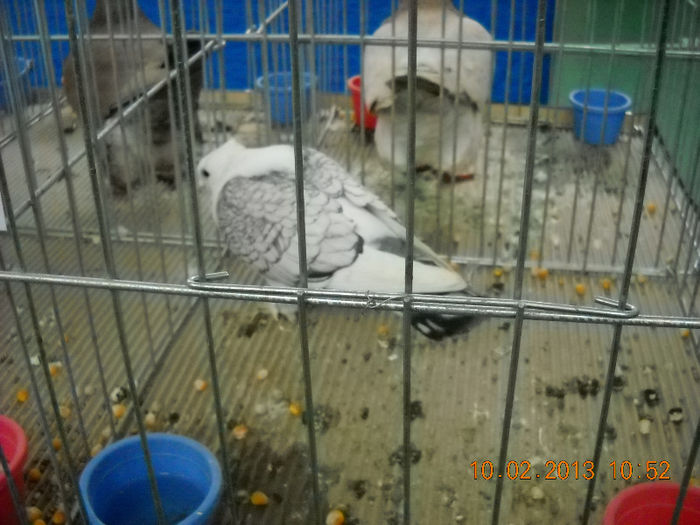 My pictures 053