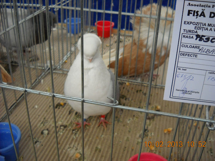 My pictures 054