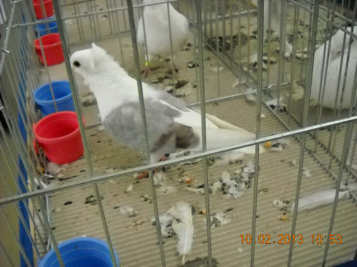 My pictures 062