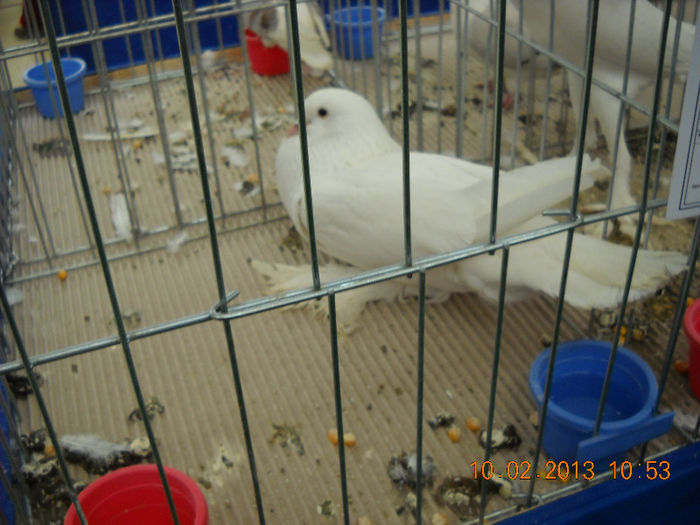 My pictures 063