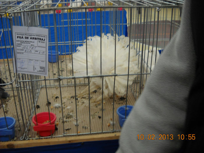 My pictures 077