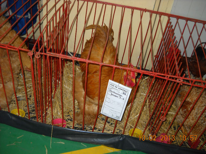 My pictures 096