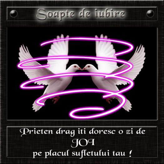 63666_270402623087814_2145428120_n