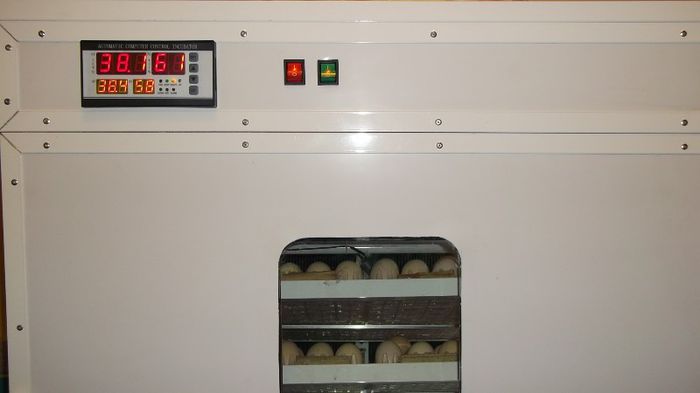 ; incubator capacitate 350 oua gaina,880 oua prepelita
