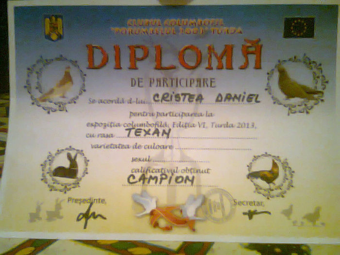 Fotografie0528 - prima diploma