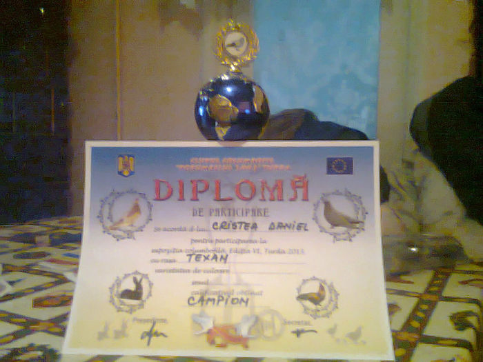 Fotografie0529 - prima diploma