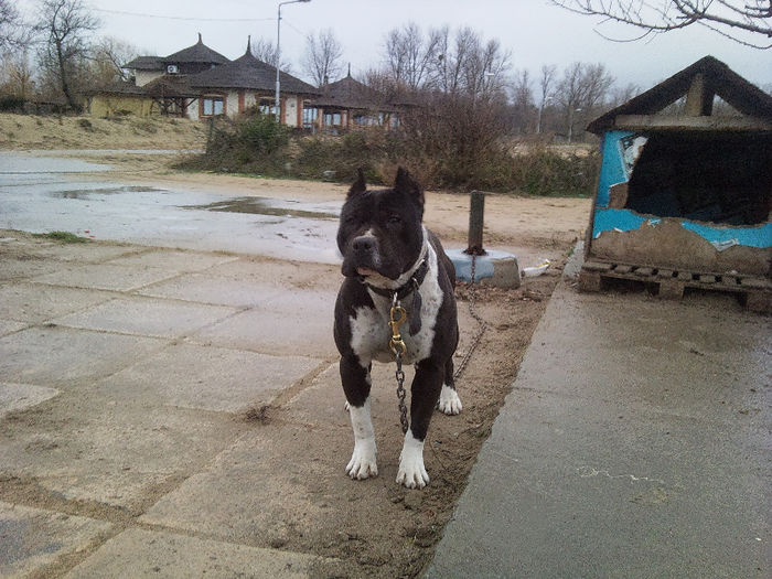 Photo1012 - Sara si Leo