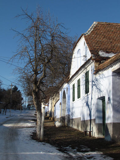 Viscri - Deutsch Weisskirch - Cetatile Sasesti din zona Sighisoarei